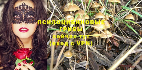 дживик Алзамай