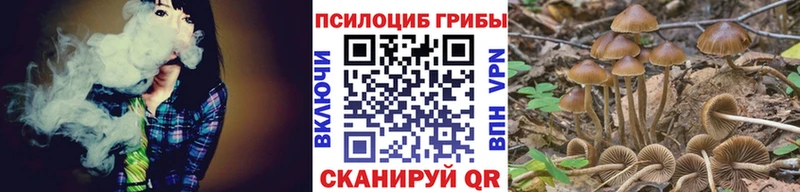 Галлюциногенные грибы Psilocybe  закладка  Лобня 